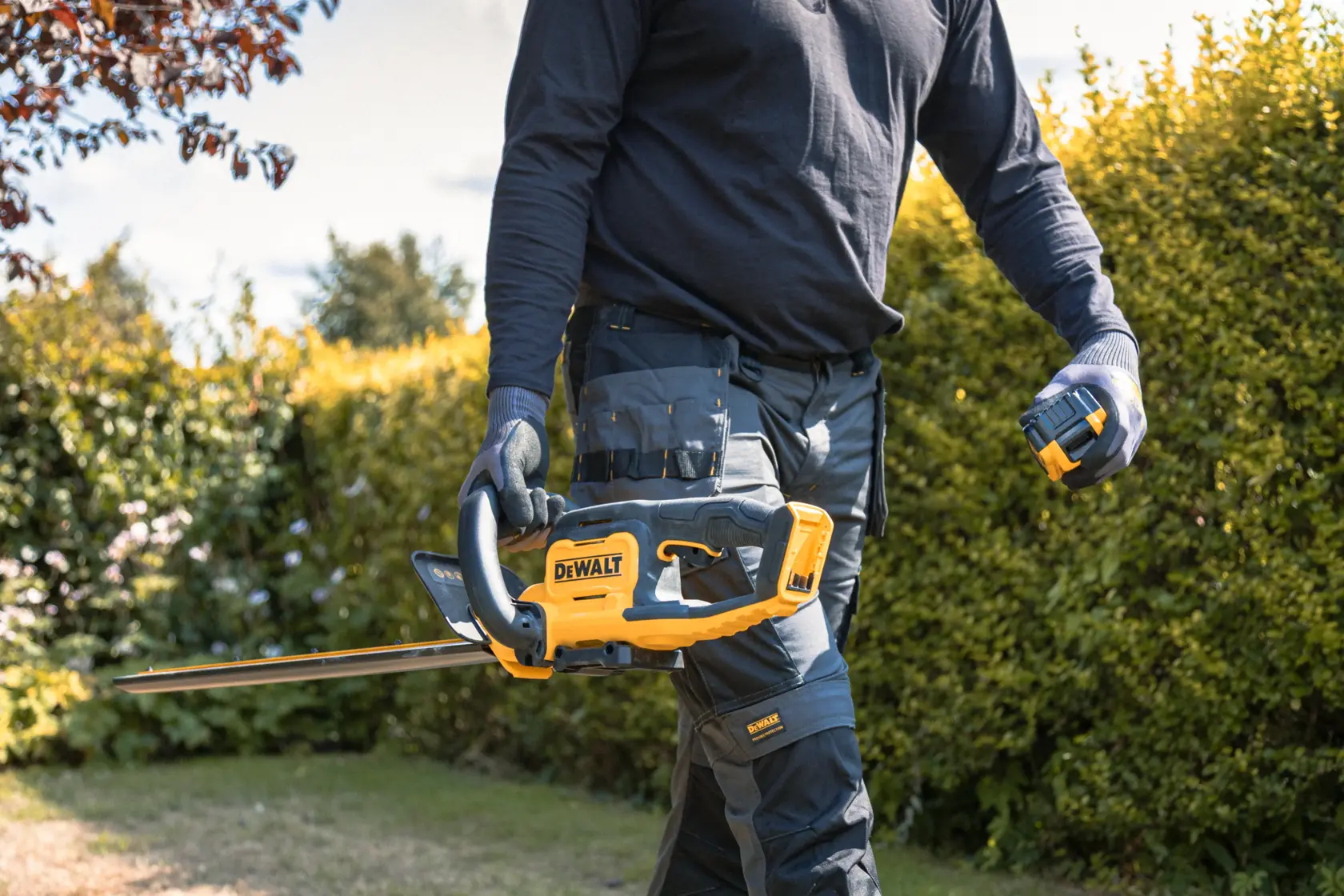 18V XR Taille-haie 55cm (avec batterie 5.0Ah et chargeur)
