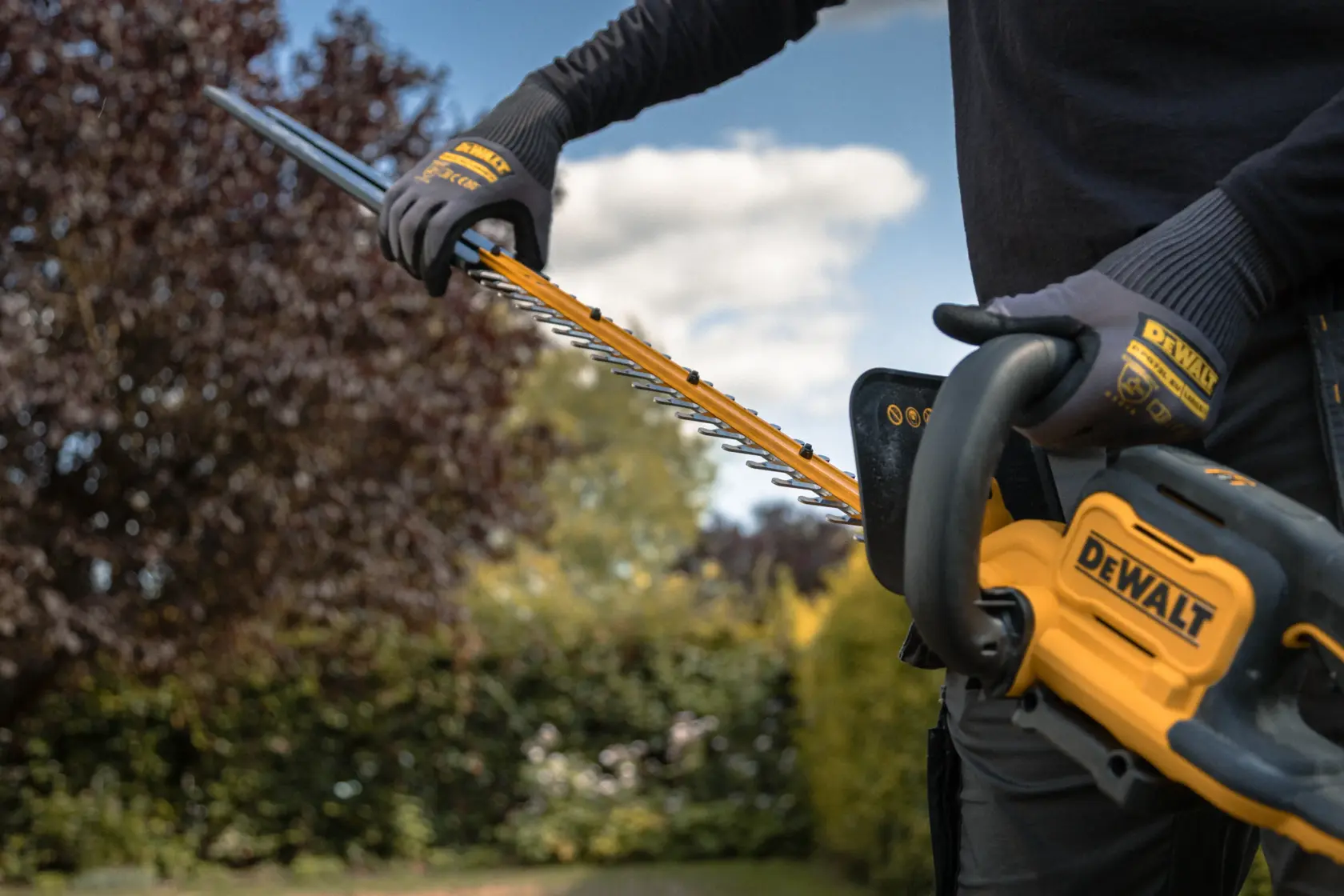 18V XR Taille-haie 55cm (avec batterie 5.0Ah et chargeur)
