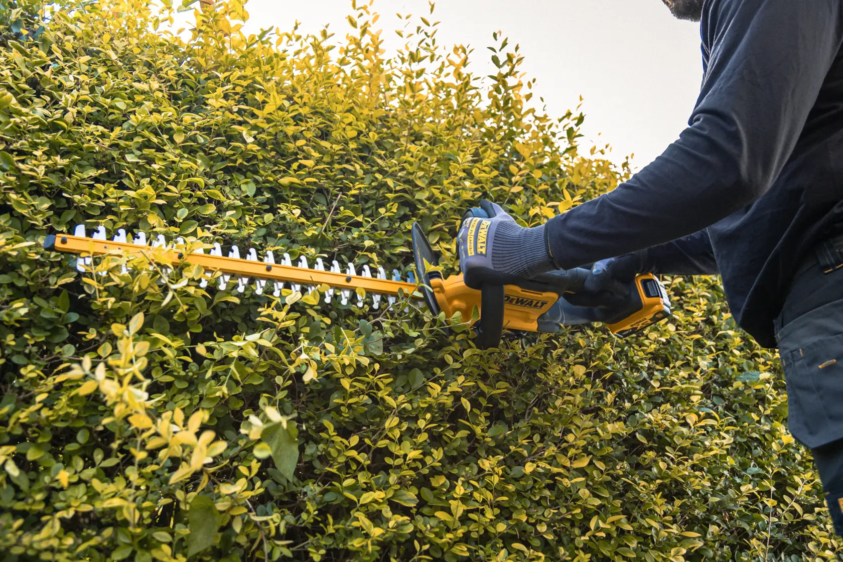 18V XR Taille-haie 55cm (avec batterie 5.0Ah et chargeur)