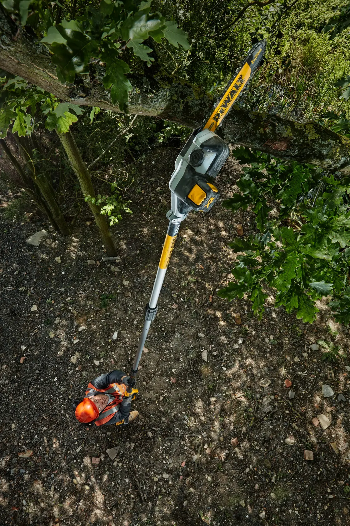 18V XR Brushless Kettingzaag op steel 20cm (zonder accu en lader)