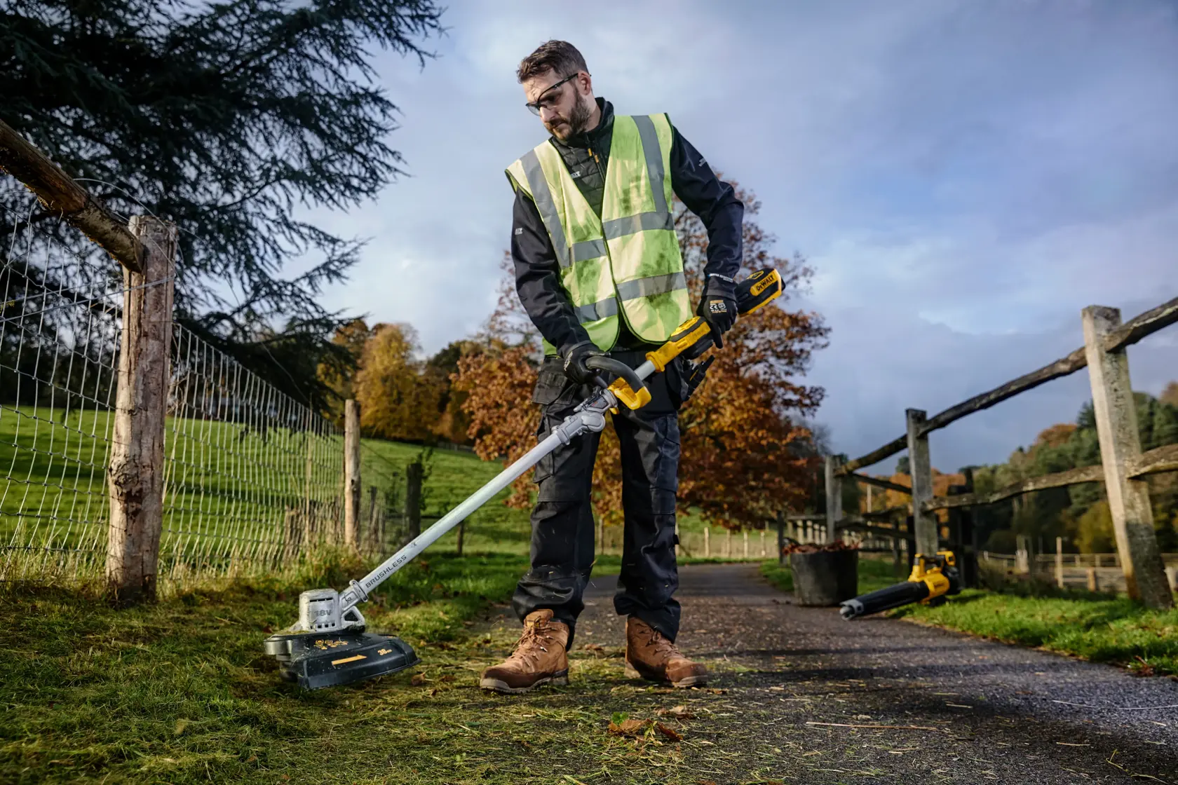 18V XR Grastrimmer