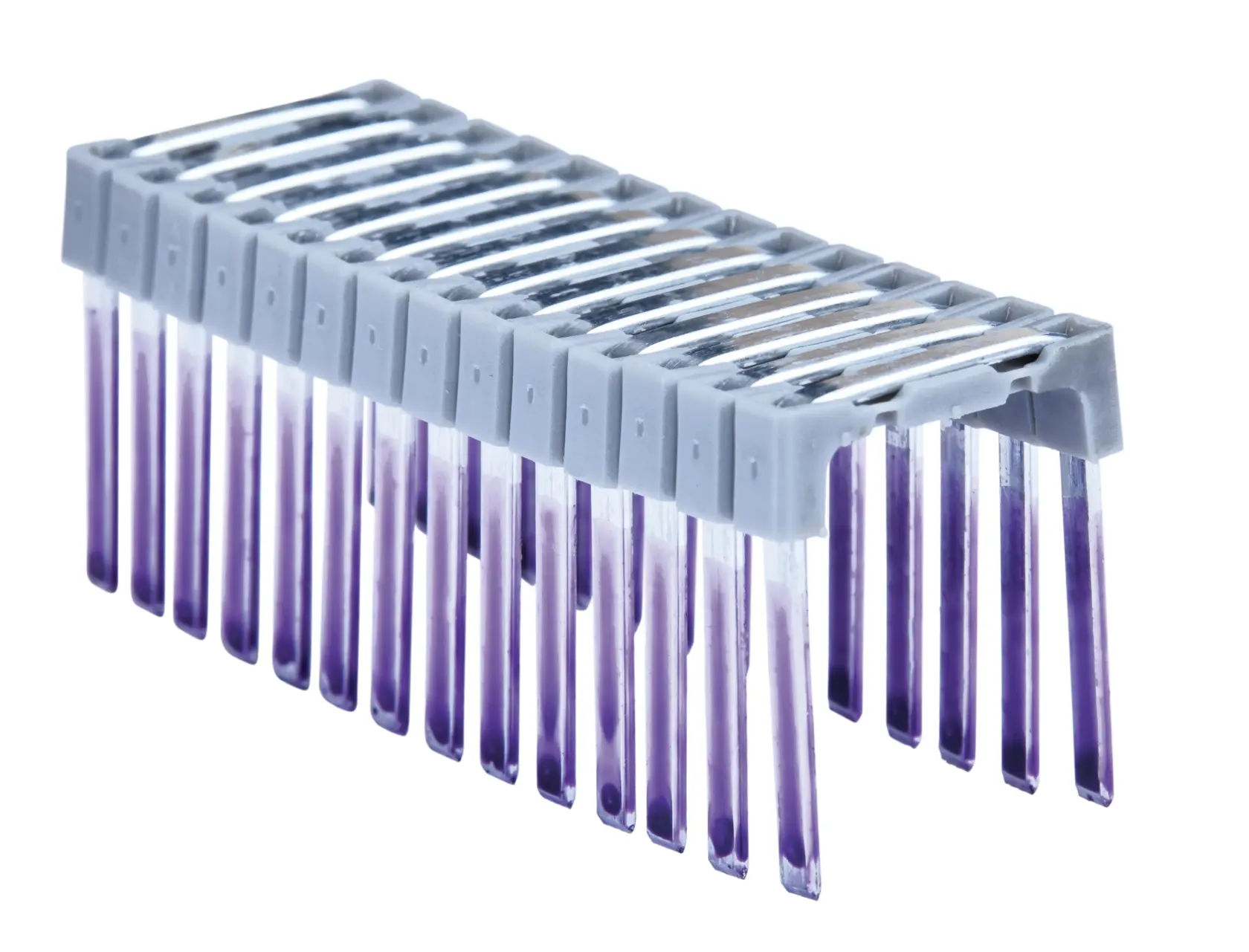 Gros plan sur une lanière de reliure DEWALT en plastique avec dents violettes sur fond blanc.